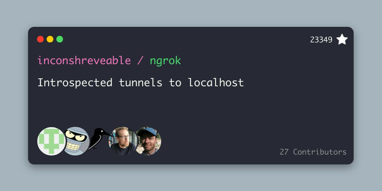 ngrok cli tool