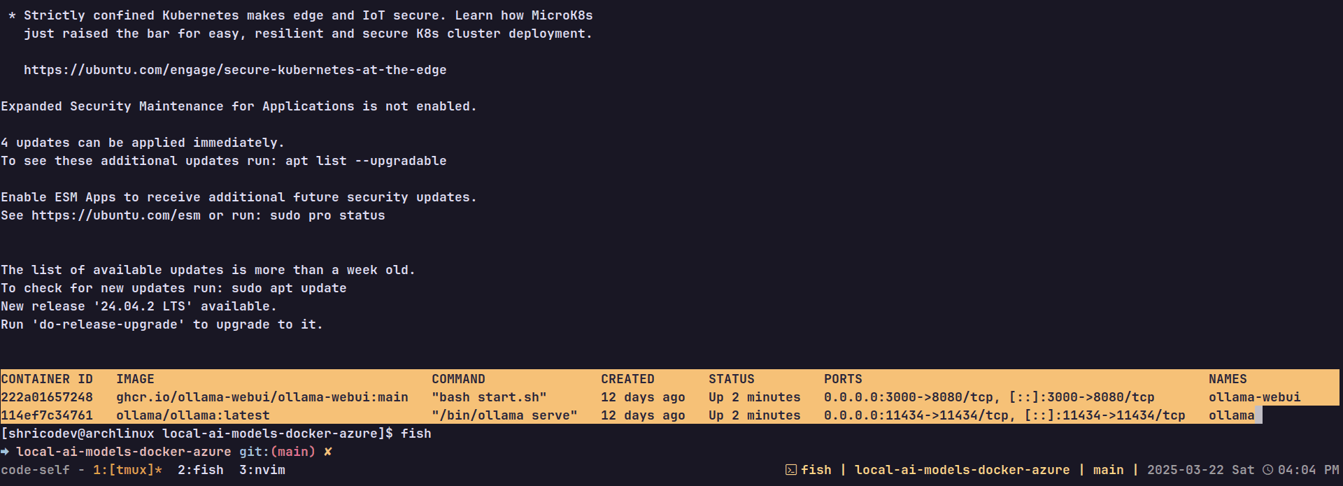 List of running Docker Containers.